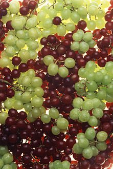 Ripe_grapes.jpg