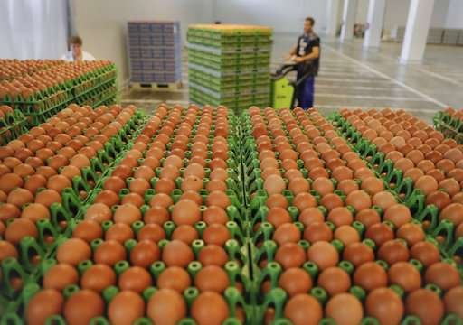 EU says 40 countries now affected in tainted egg scandal.jpg