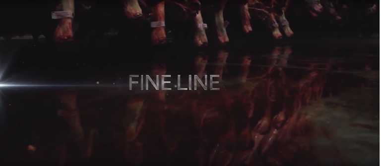 fineline-título.png