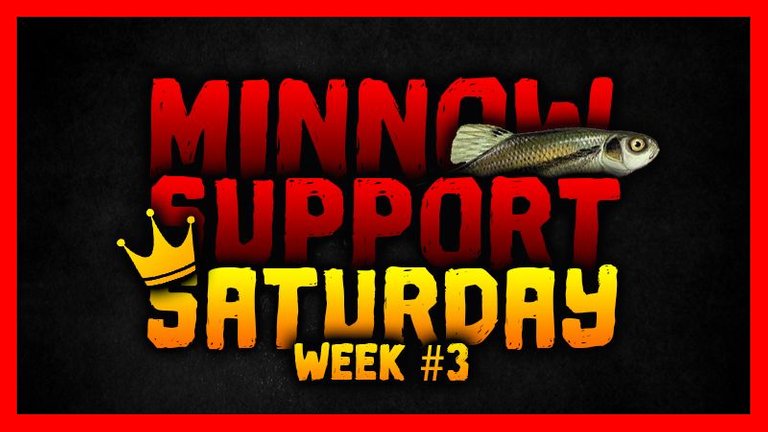 Minnow Support Contest #3.jpg