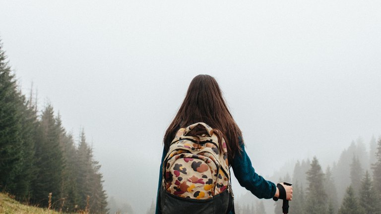 back-view-backpack-blur-304648.jpg