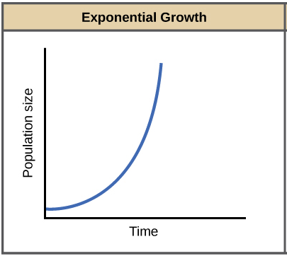 expotential growth