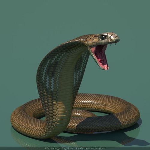 3d-model-cobra-snake-rigged-3d-model-low-poly-rigged-max-obj-fbx-mtl.jpg