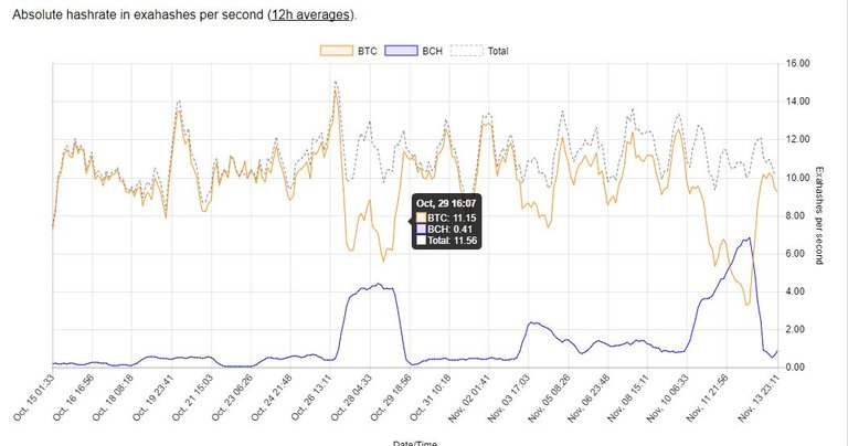 hashrate BTC-BCH.JPG