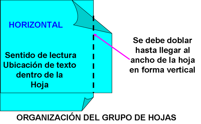 Organizacion de las Hojas.png