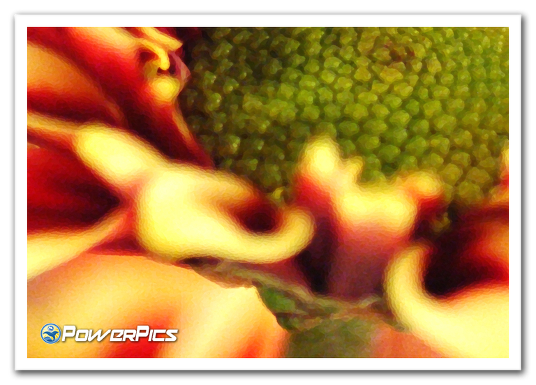 Tuesday-Flower-02-PowerPics.png