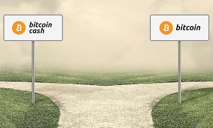 Bitcoin-vs-Bitcoin-Cash.jpg