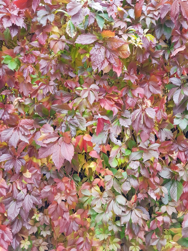 20171001_162007.jpg