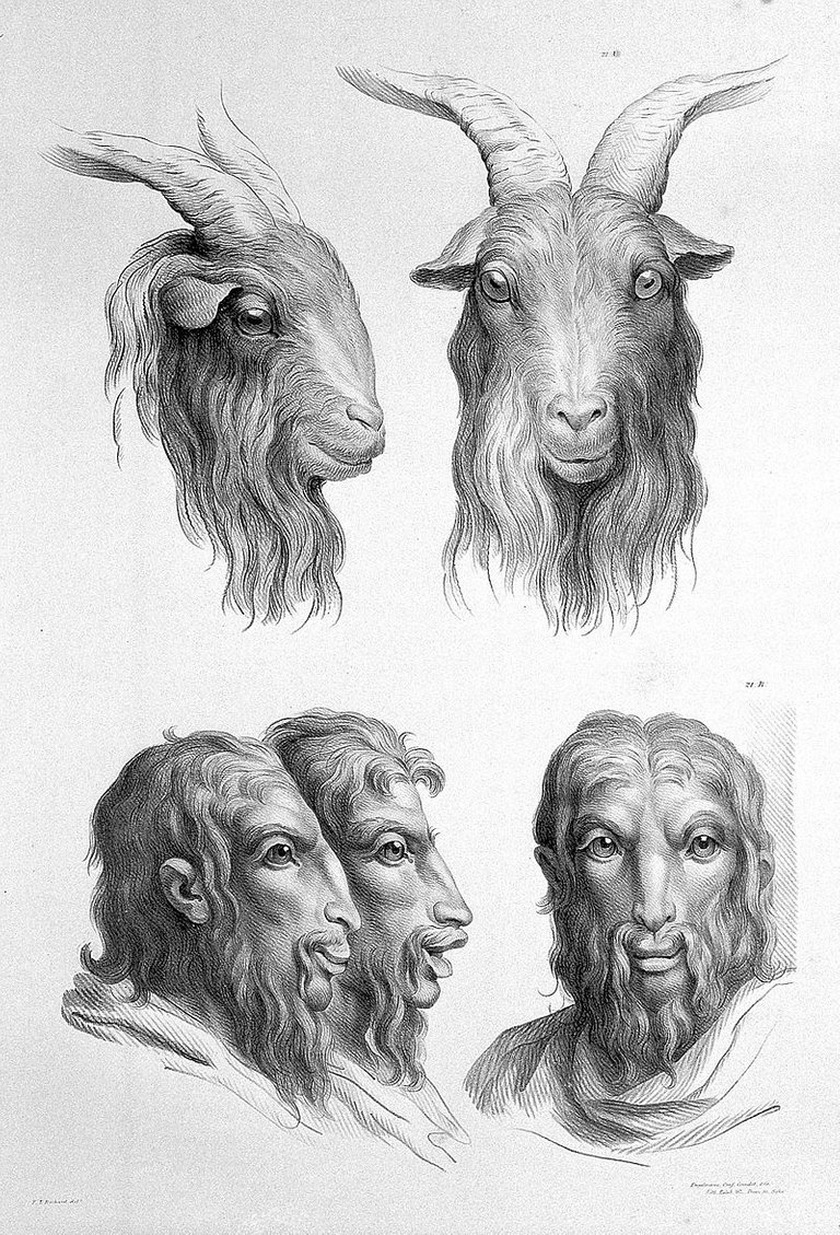 13-charles-le-brun-physiognomy-humans-evolved.jpg