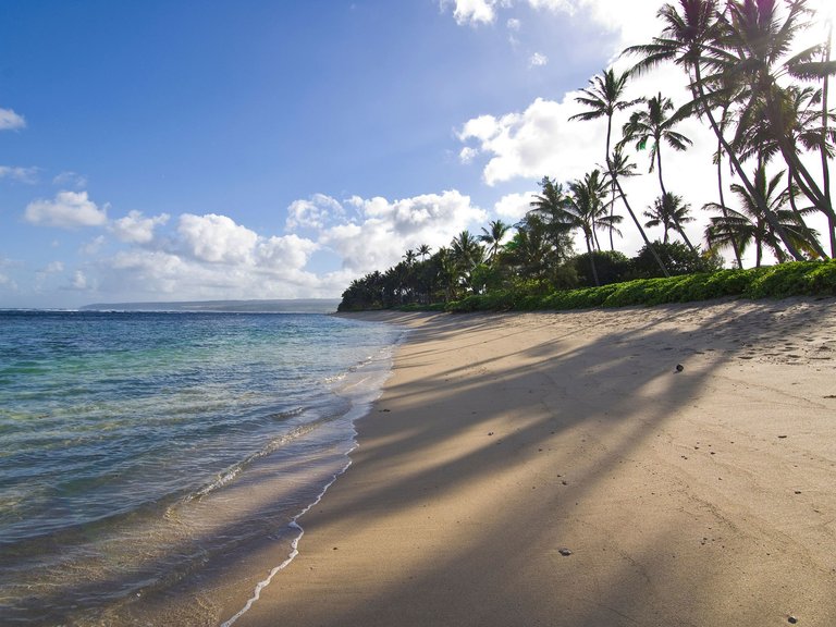 mokuleia-beach-oahu-hawaii.jpg