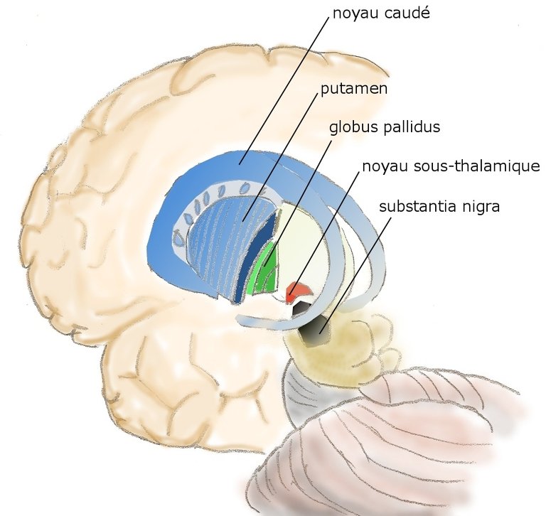 Noyau-gris-centraux3.jpg