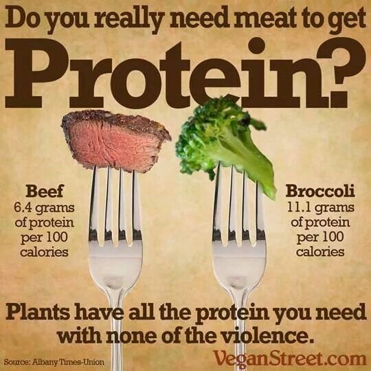 proteinplants.jpg