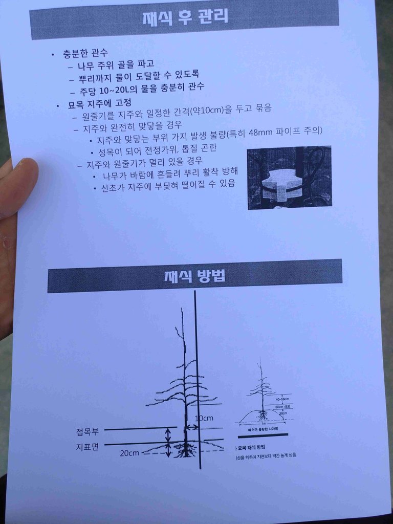 엔비사과 심기 envy사과 식재 (2).jpg