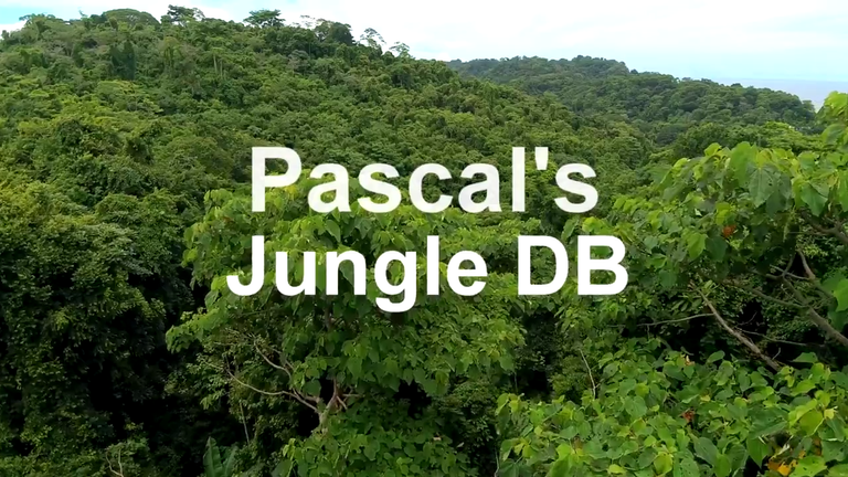 jungledb.png