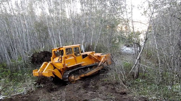 bulldozing nature.jpg