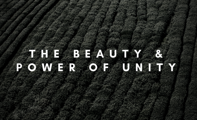 the-beauty-and-power-of-unity-800x490.png