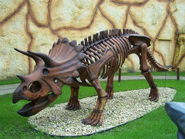 dinosaur-668612_640.jpg