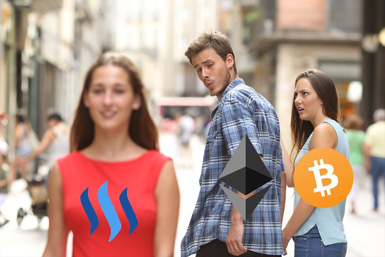 cryptomeme0000.jpg