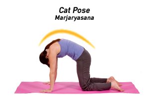 Yoga_CatPose_300x350.jpg