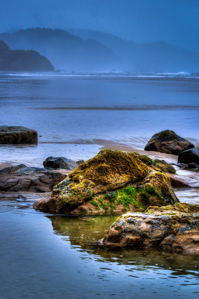 Oregon Coast Tide Pool.jpg