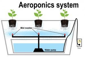 teknik-hidroponik-pinterest-300x200.jpg