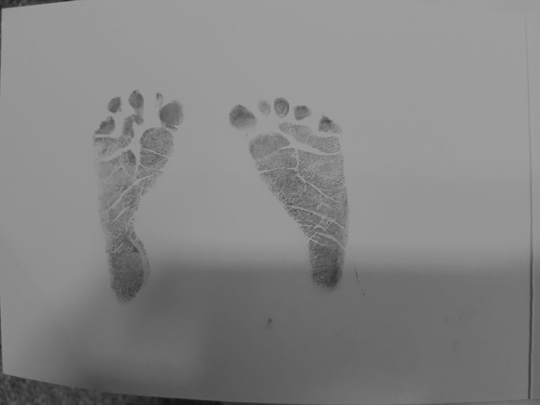 20170320_164255.jpg
