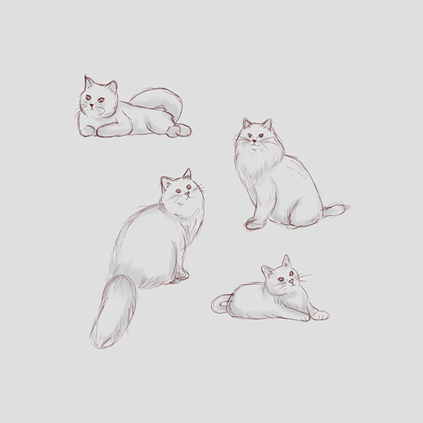 cat sketch.png