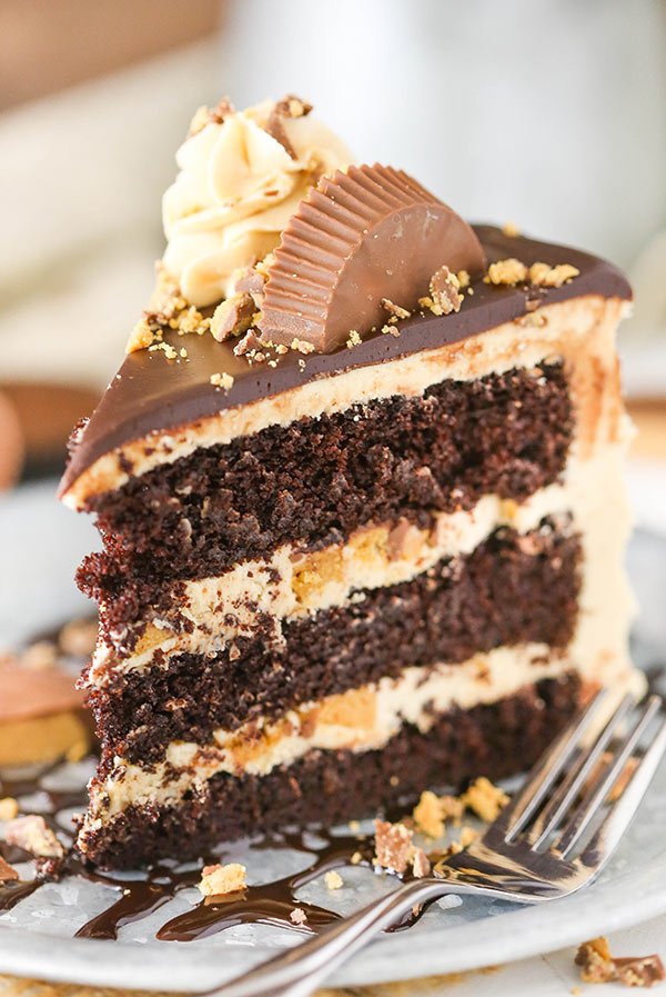 Peanut-Butter-Chocolate-Cake5.jpg