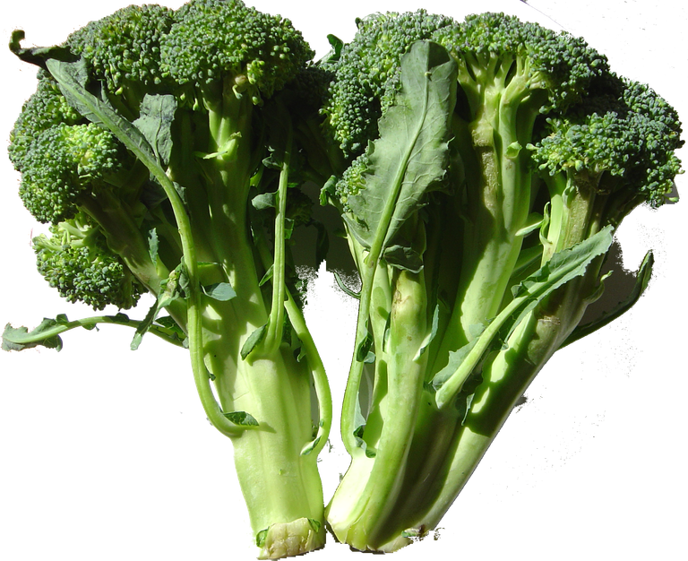 Broccoli_DSC00861.png