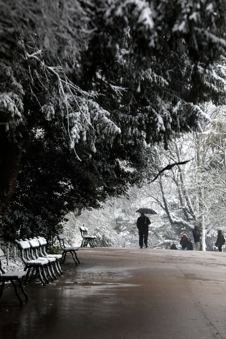 Paris 19e, le mardi 6 février. Il commence à neiger dans le parc des Buttes Chaumont. LP Yann Foreix.JPG