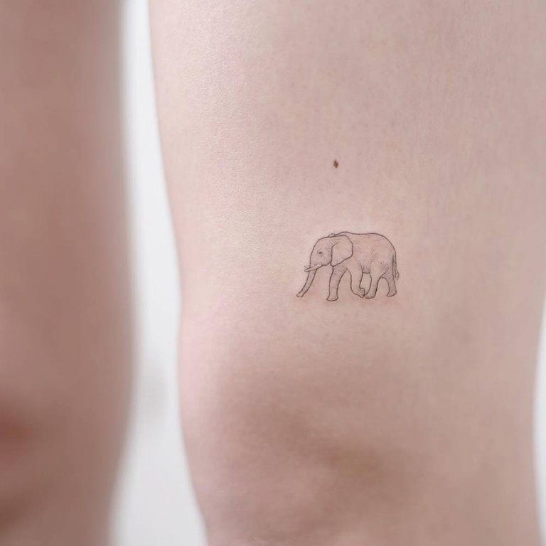 Tiny-fine-line-style-Elephant-tattoo.jpg