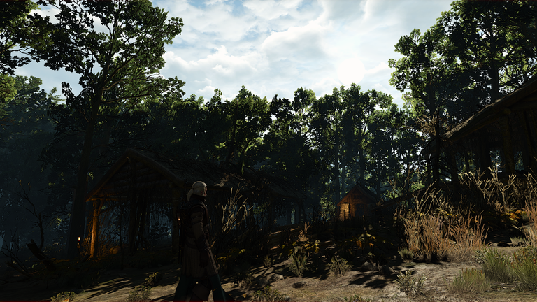 The Witcher 3 Screenshot 2016.10.20 - 23.54.46.47.png