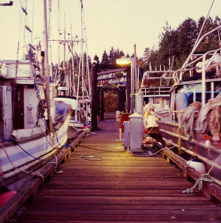 tofino_film_hasselblad-10.jpg