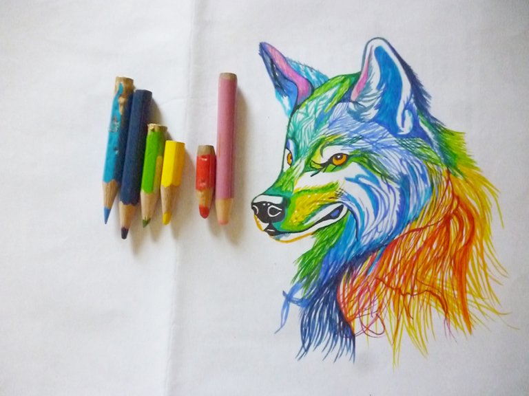 lobo5colores.JPG