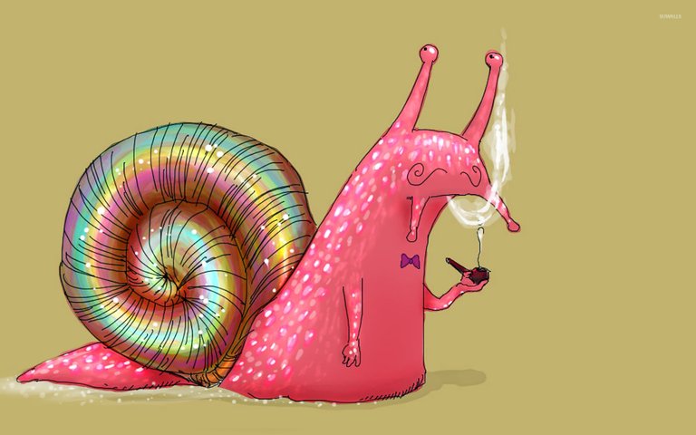 pipe-smoking-snail-14706-1920x1200.jpg