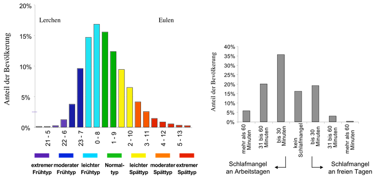 1010px-Chronotypen.svg.png