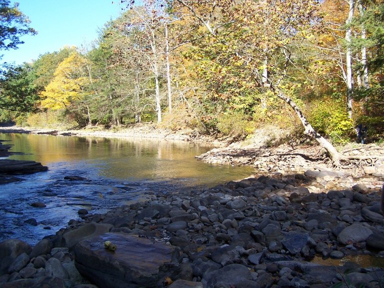 Dry Fork Upstream.jpg