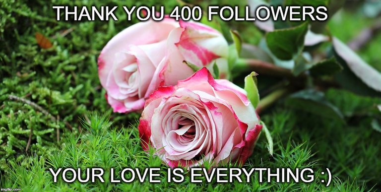 400 followers.jpg