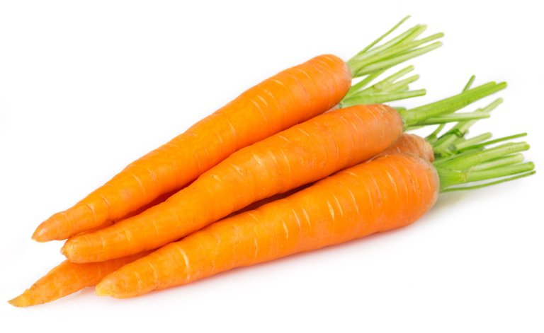 Carrot_Danvers_42077753_2048x2048.jpeg