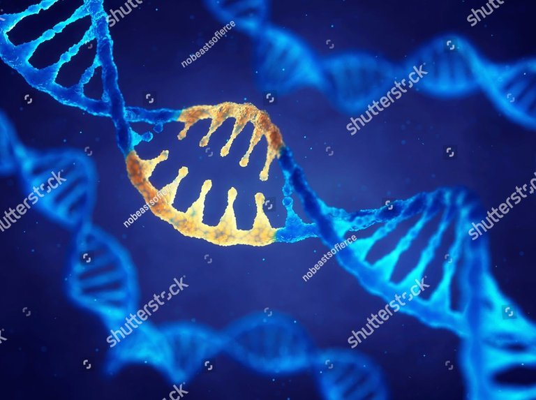 stock-photo-double-helix-dna-molecule-with-modified-genes-correcting-mutation-by-genetic-engineering-d-585361916.jpg