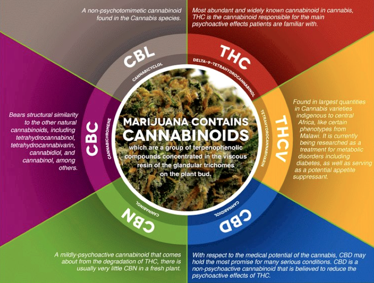 cbd_vs_thc.png