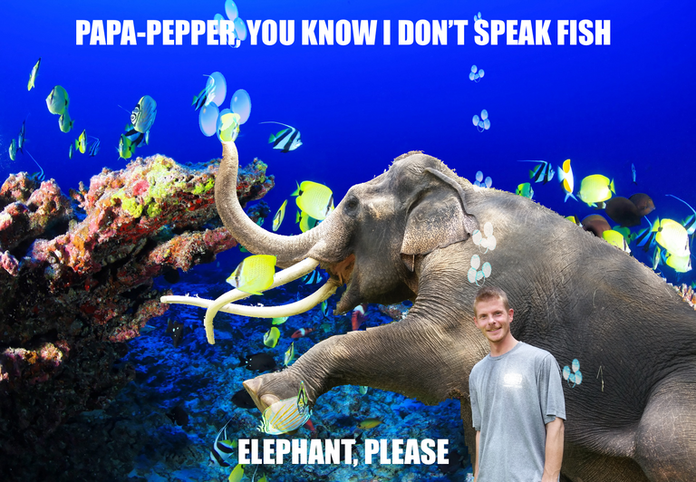 Elephant Underwater Meme.png.png