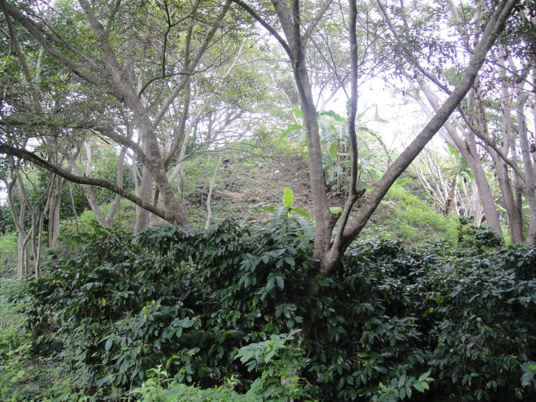 DSC00993.JPG
