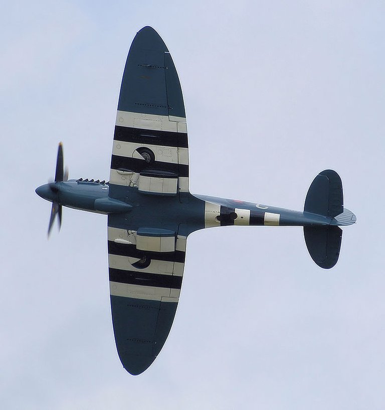 800px-Spitfire_mark19_ps853_planform_arp.jpg