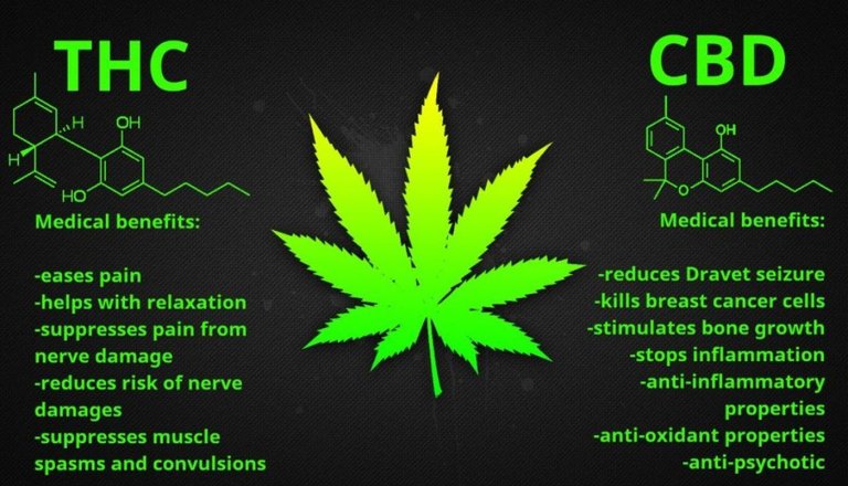 benefits-thc-cbd-1024x683-1160x665.jpeg