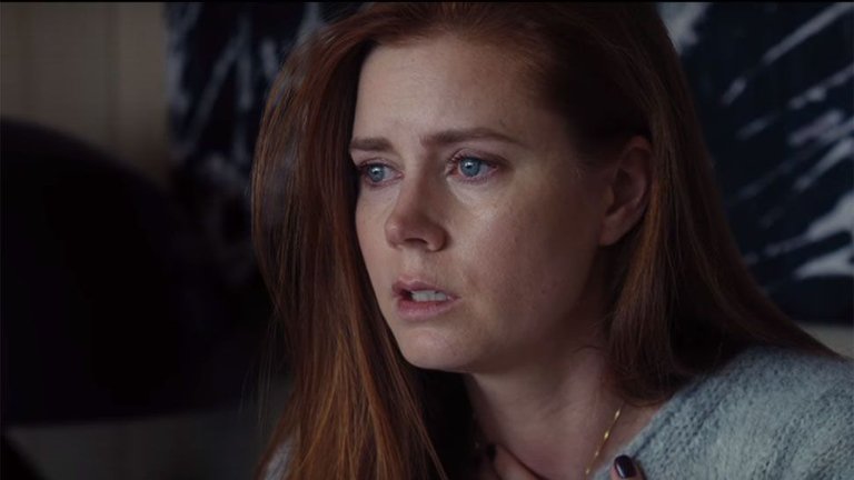 Nocturnal-Animals-trailer.jpg