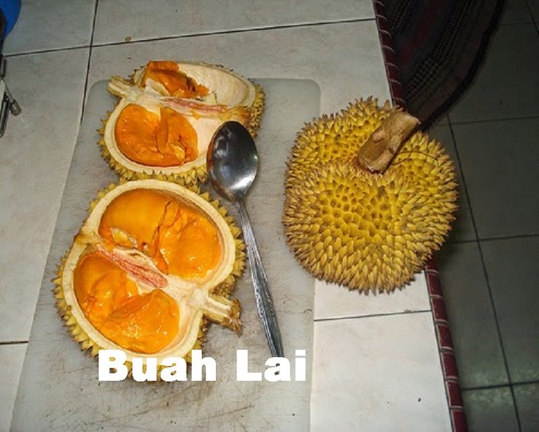 Buah-Lai.jpg