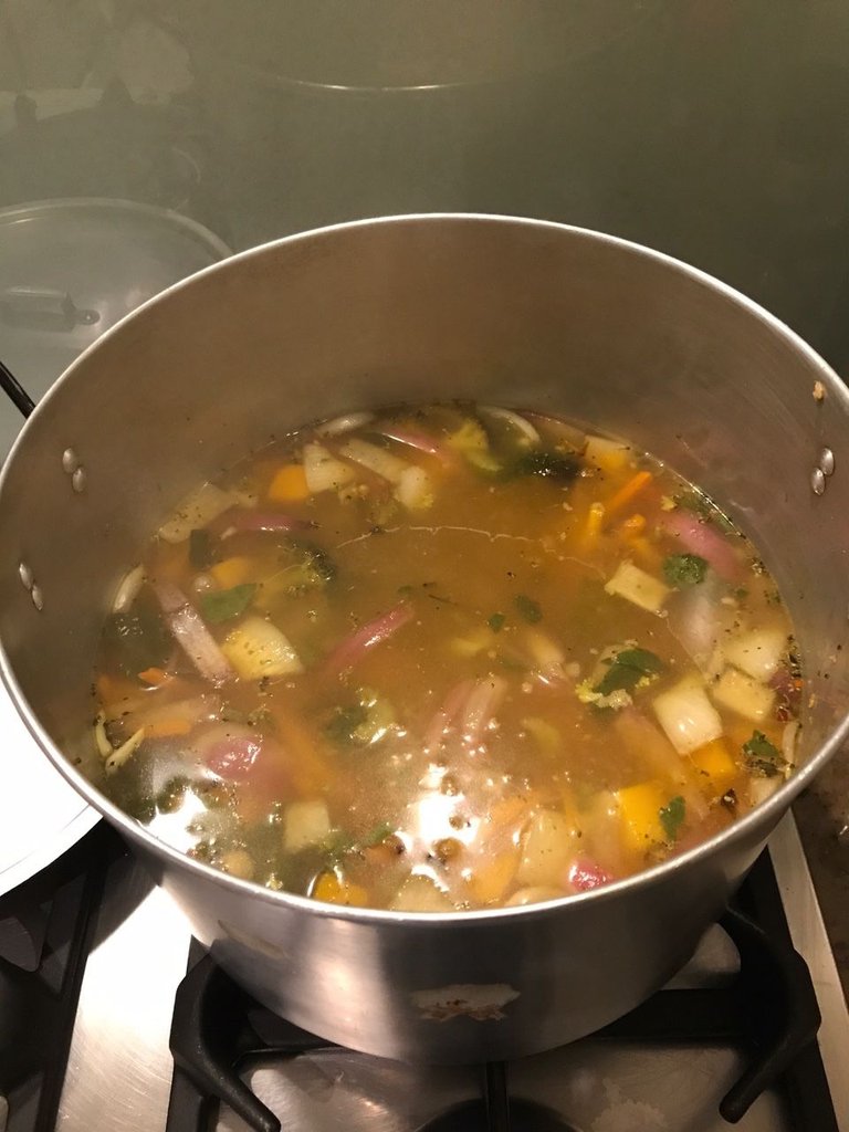 veggie soup mashed.JPG