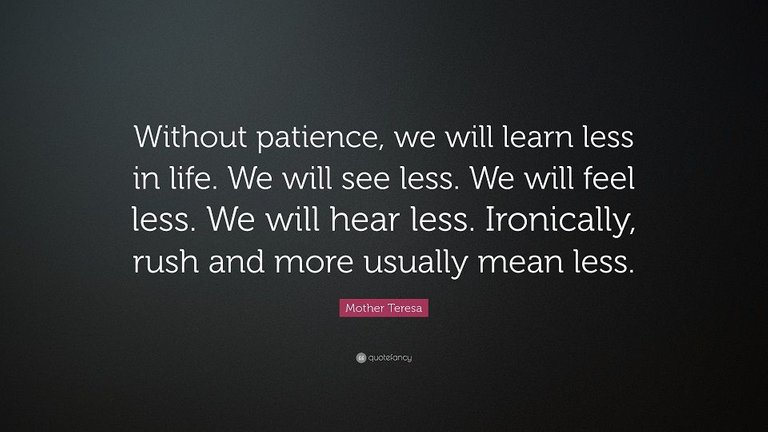 17134-Mother-Teresa-Quote-Without-patience-we-will-learn-less-in-life-We.jpg