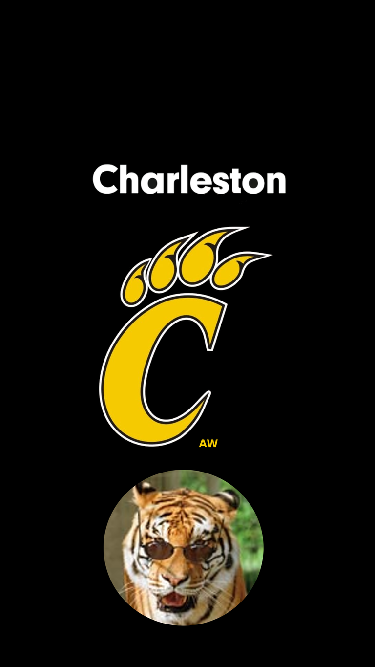 Charleston__Tigers.png